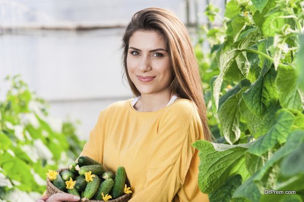 Growing vegetables