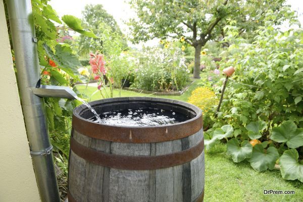 rainwater to be reused