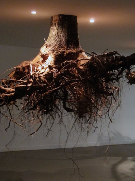 Gravity-defying Humus art installation asks us to stick to our roots ...