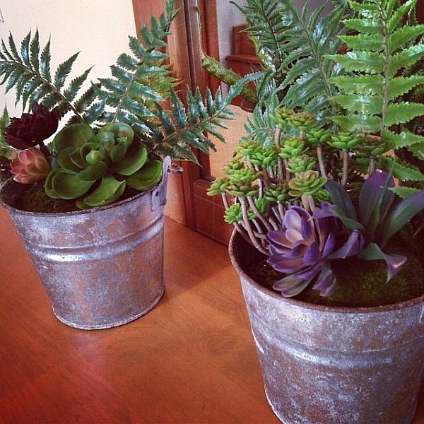 Planters made of old buckets