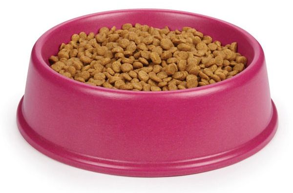 pet bowl