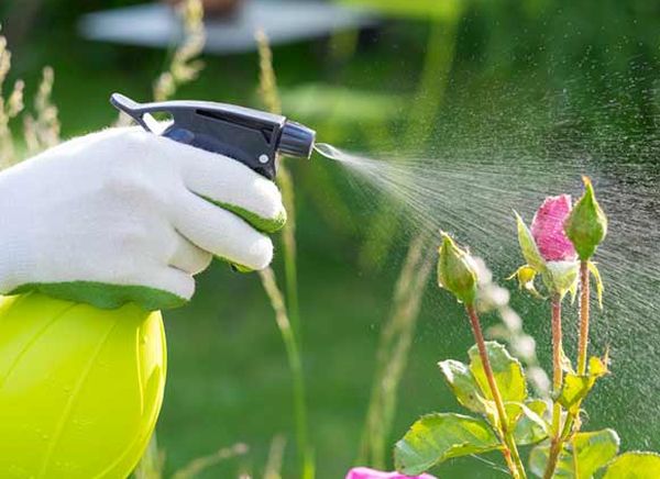 bio-pesticides FOR LAWN