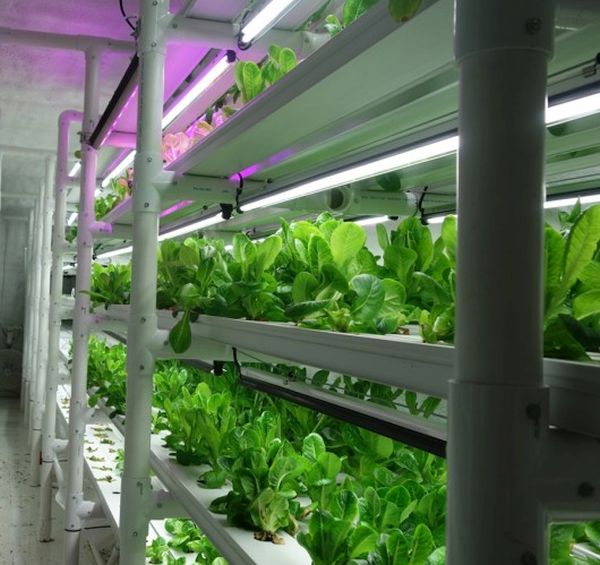 Farm in container