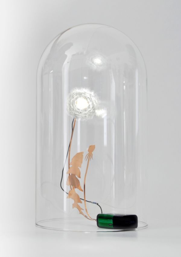 Dandelight Lamp