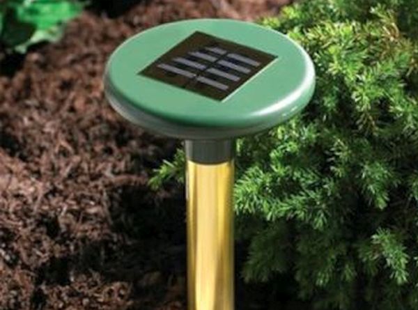 Solar underground pest deterrent