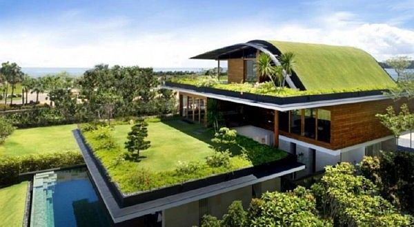 green roof 3