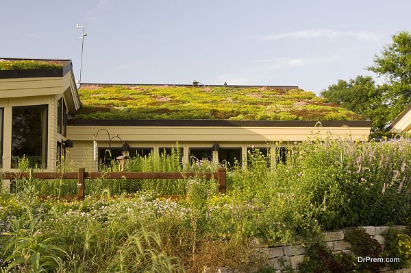 green roof_v