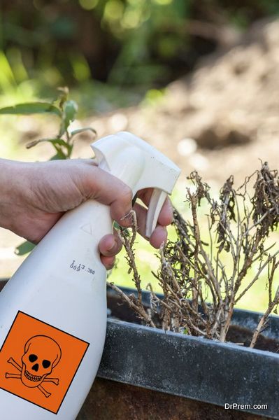 woman's hands spraying plants