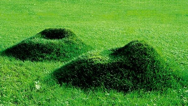 Grass furniture for your garden