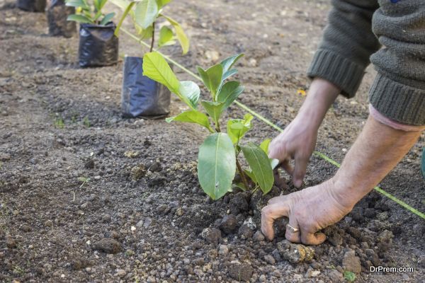 Garden worker 