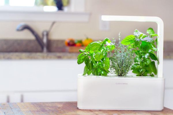 High tech systems tips and ideasfor indoor gardening