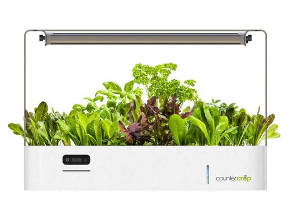 CounterCrop is a smart indoor gardening system