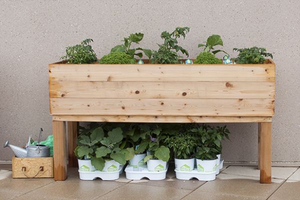 DIY Planters