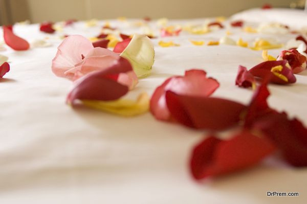 rose petals