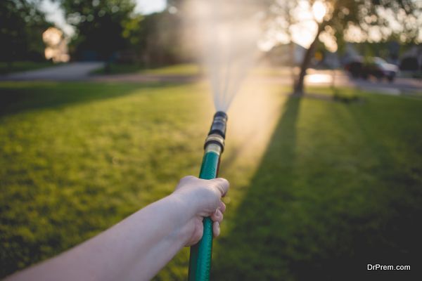 Watering lawn