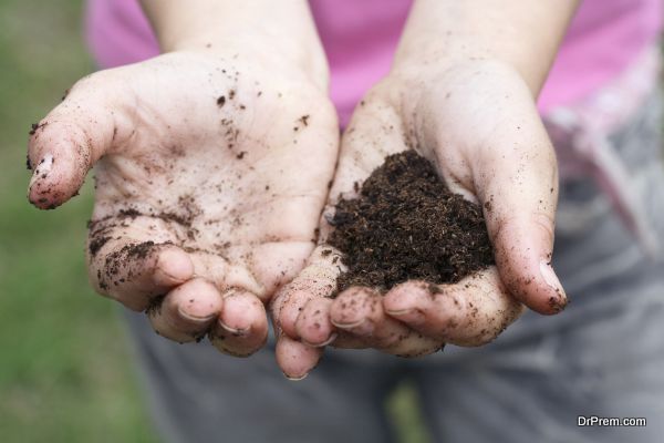 productivity of soil