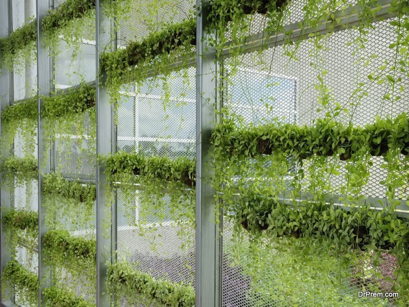 Awesome Vertical Garden