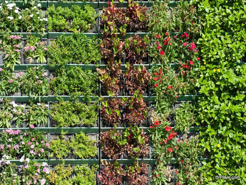 Awesome Vertical Garden