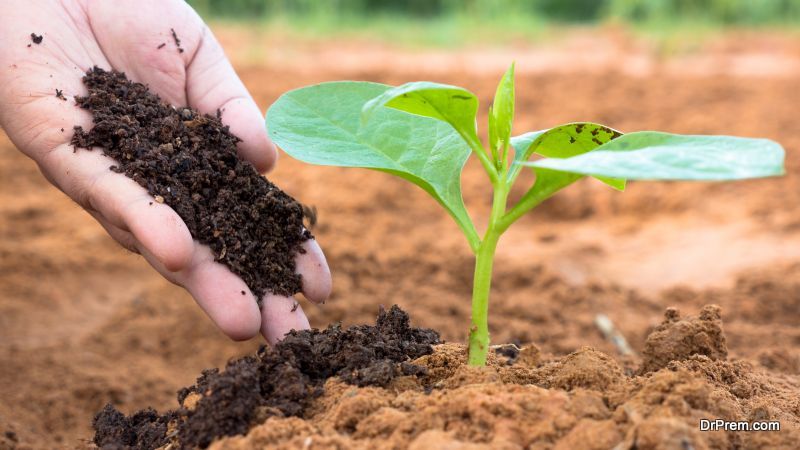 planting-trees