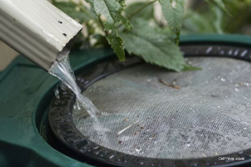 Rainwater-Harvesting