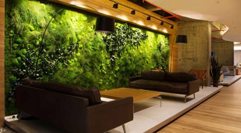 Biophilic Design