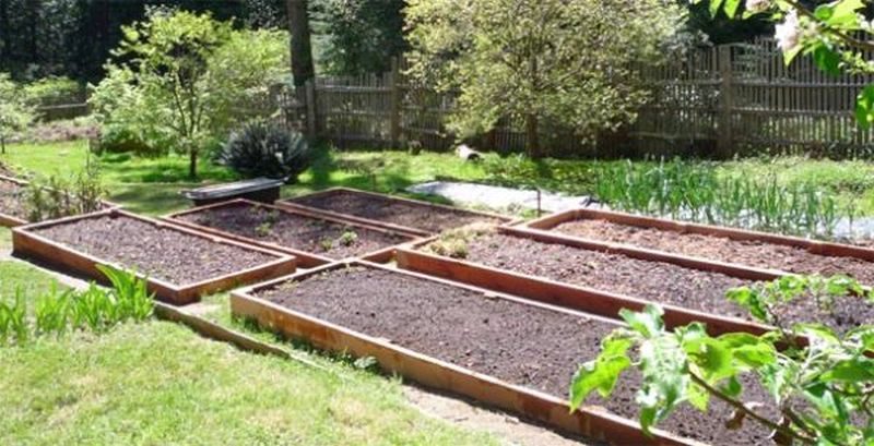 raised-beds