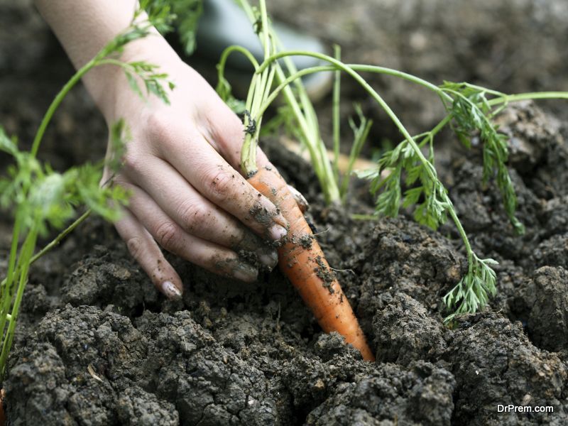 Gardening