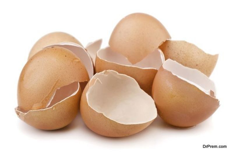 eggshell-membrane-for-electricity-generation