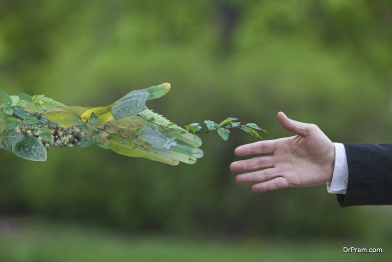 6 Career Options For Environmental Science Majors