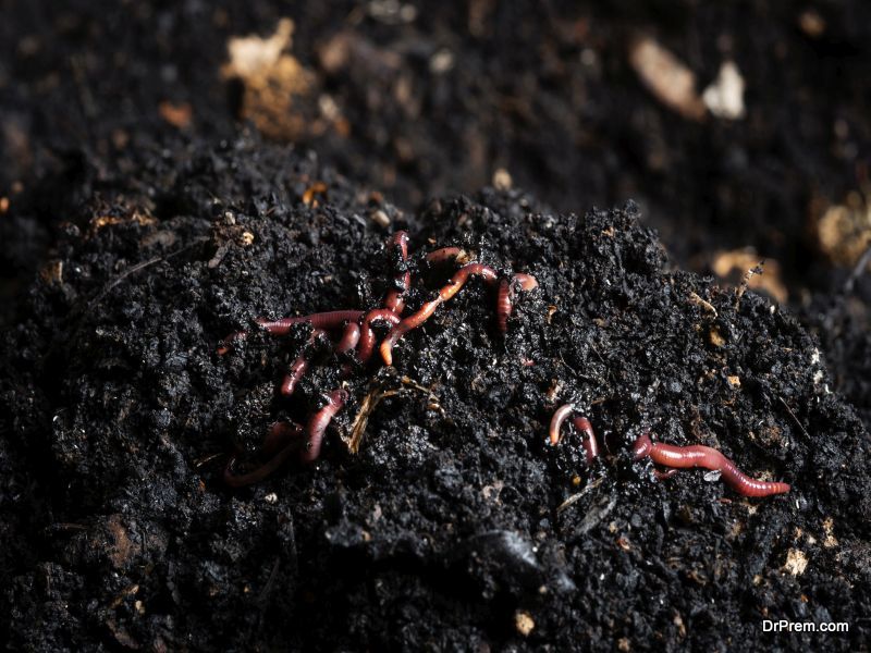 create homemade compost