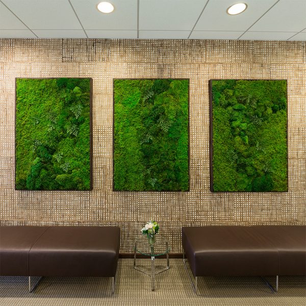 moss wall art