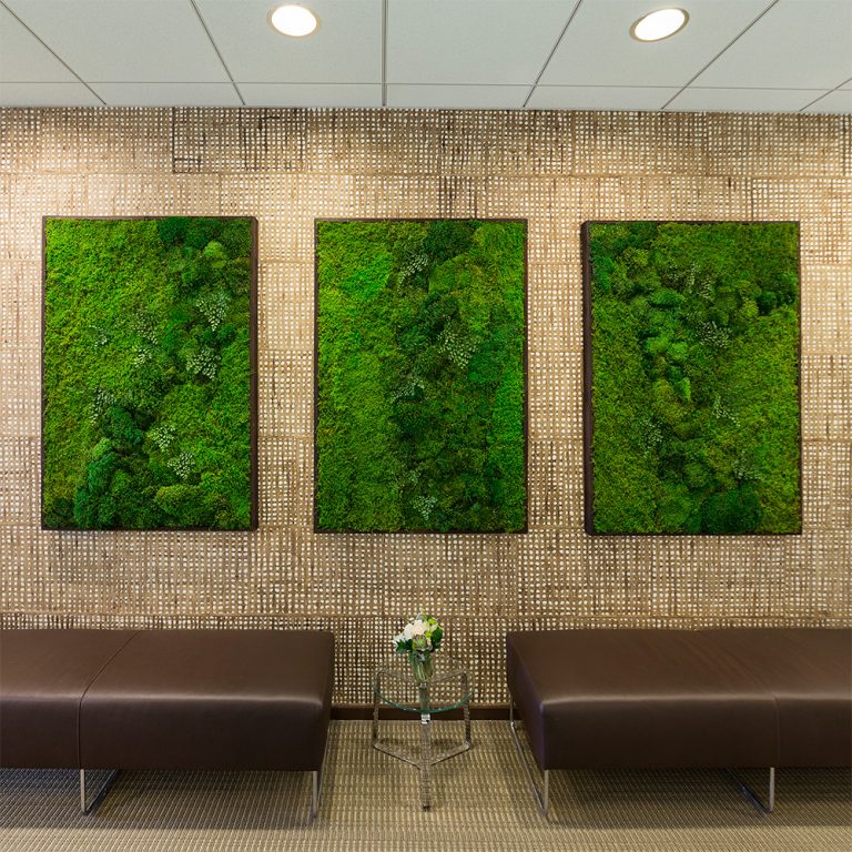 Bring nature into your house with creative moss wall art decoration
