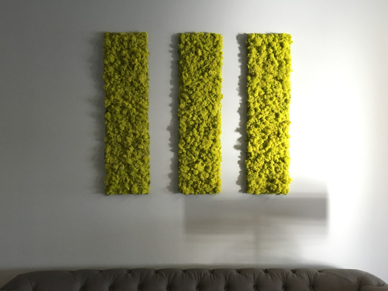 moss wall art