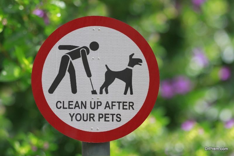 Clean up after your dog