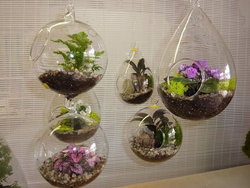 Hanging Terrariums