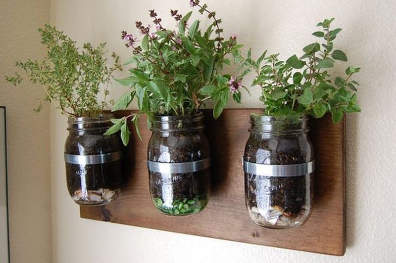 Mason jar garden