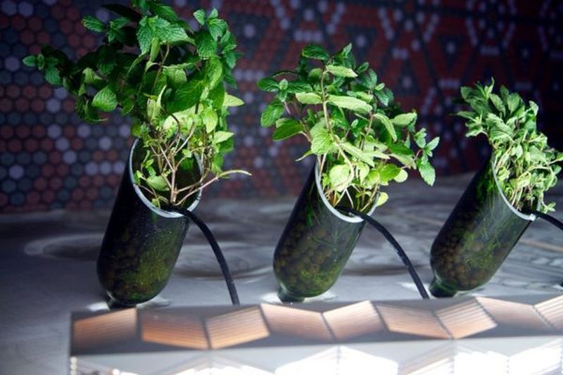 Using recycled wine bottles vertically