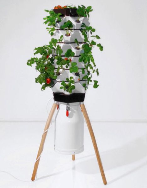 Vertical Fogponic garden