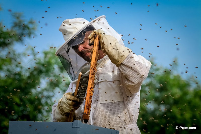 setting up your farm