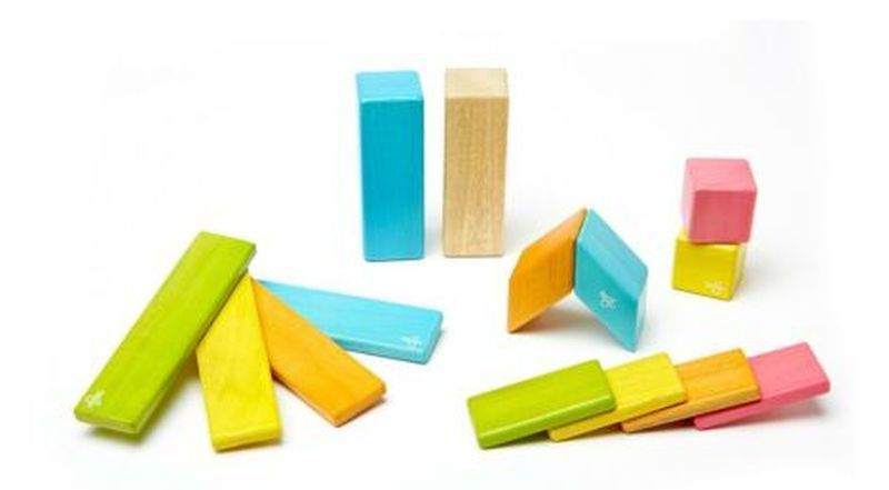 Eco-Friendly Tegu Magnetic Wooden Blocks