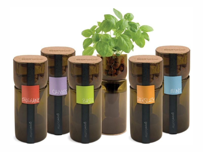 Grow Bottle