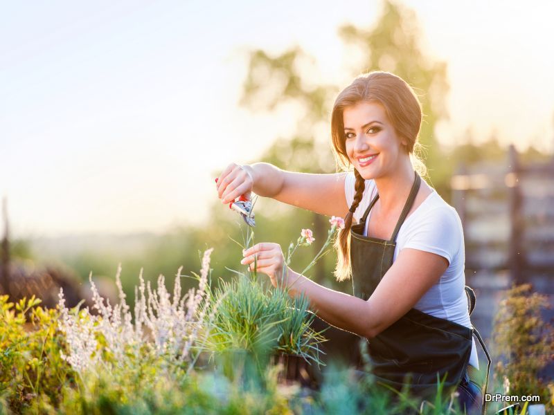 certified organic flowers