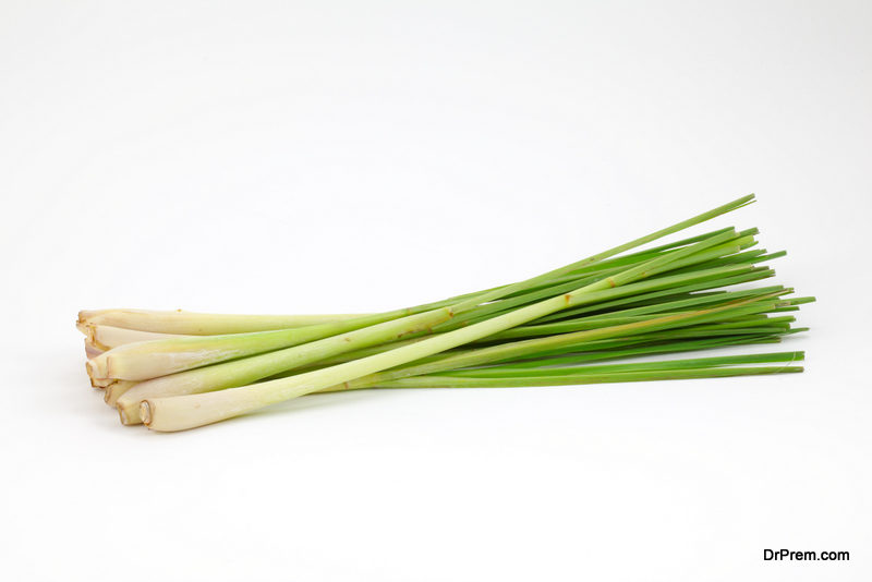 Lemongrass