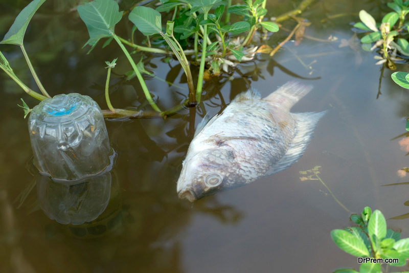 change in water quality and temperature