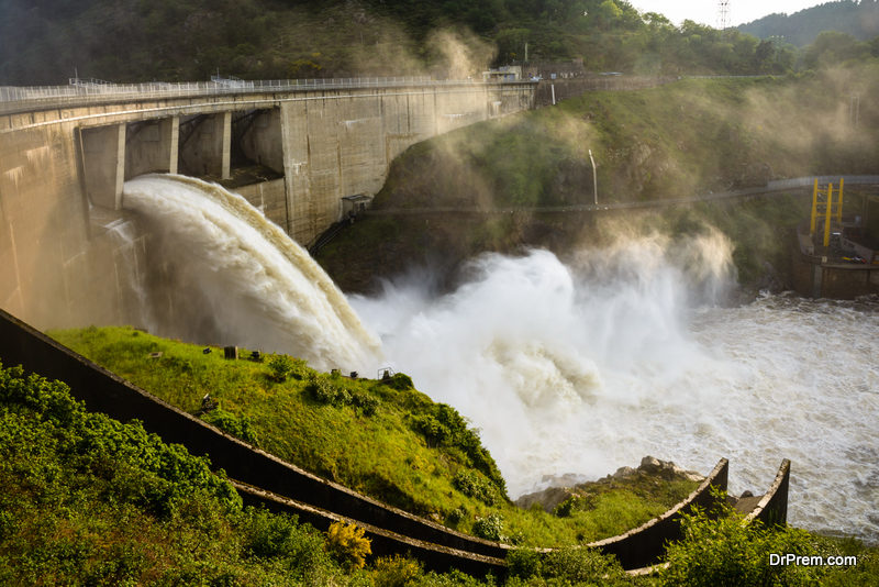 dams-affect-fish-population-