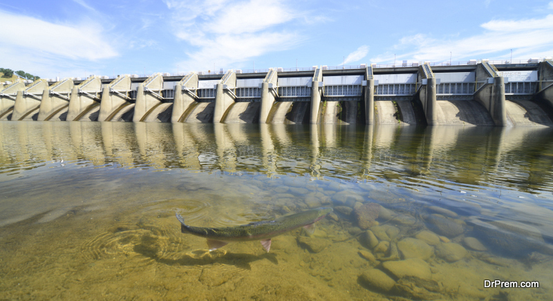 How do dams affect fish population and biodiversity