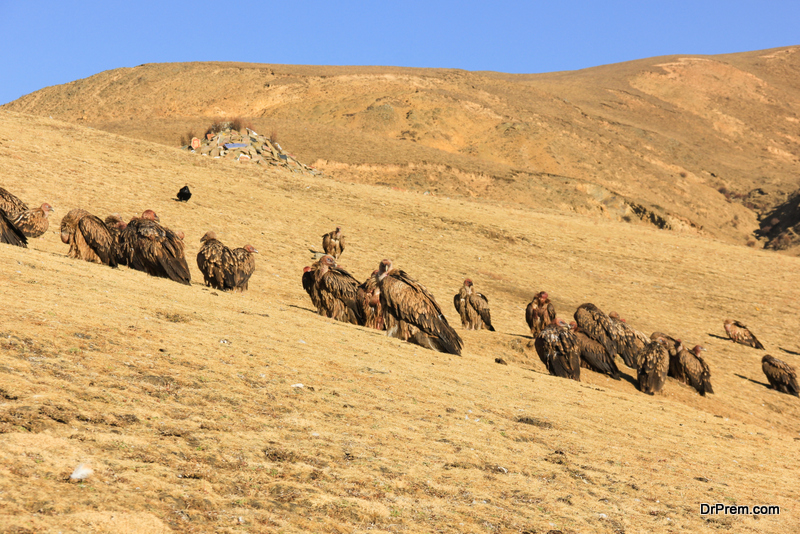 Sky burial