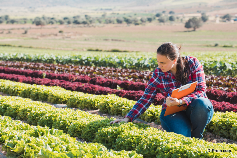 10 Careers that Contribute Towards a Sustainable Future