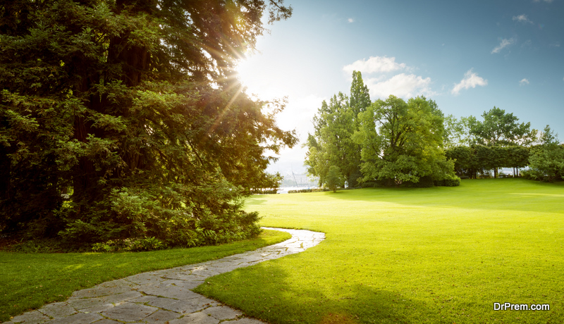 walking path in the park