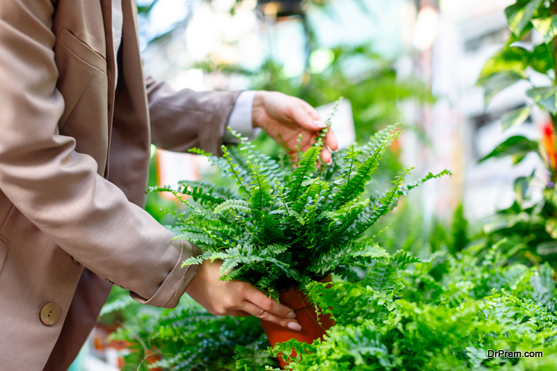 Woman choosing potted plant